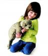 Seerobbe Handpuppen Folkmanis