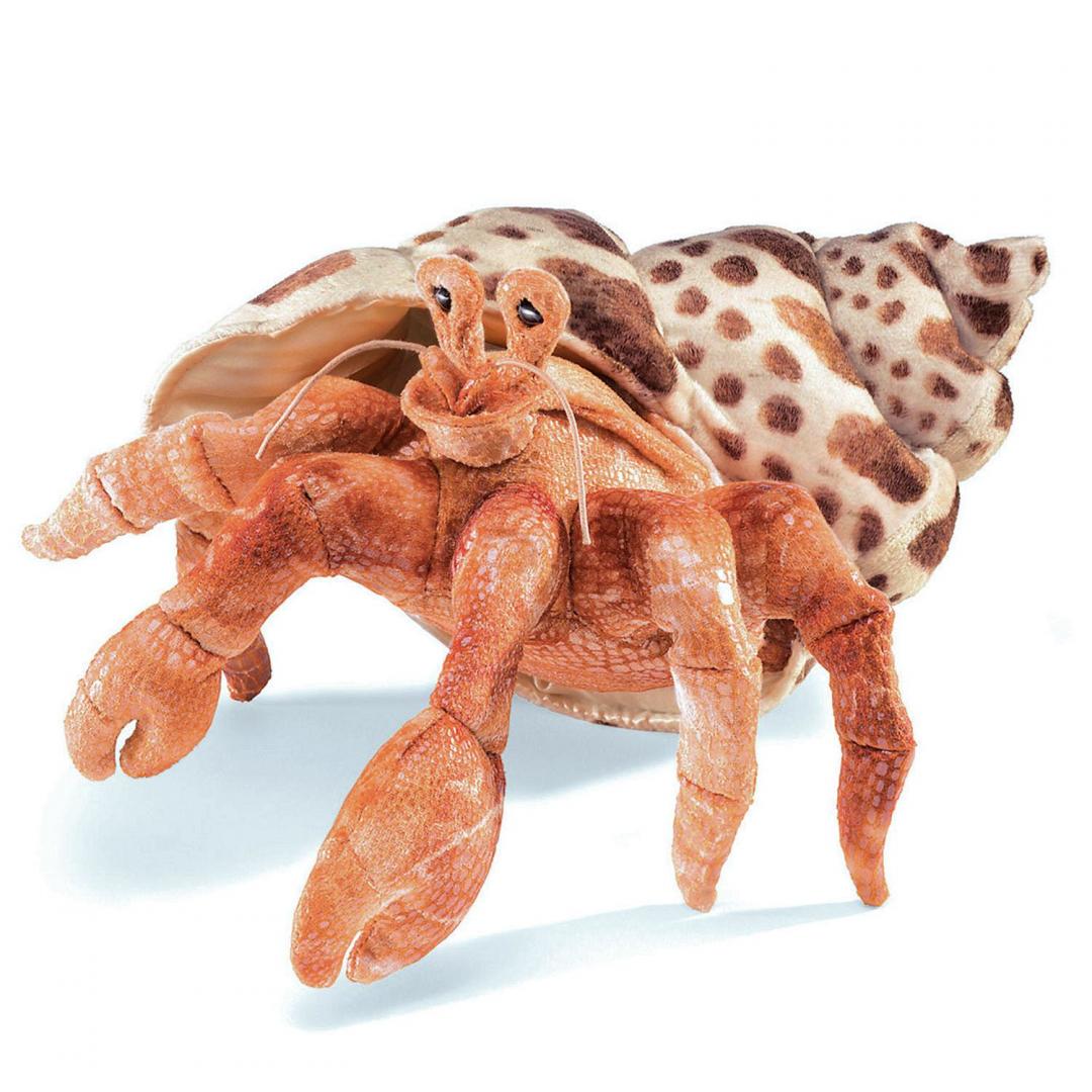 Einsiedlerkrebs Handpuppe Folkmanis
