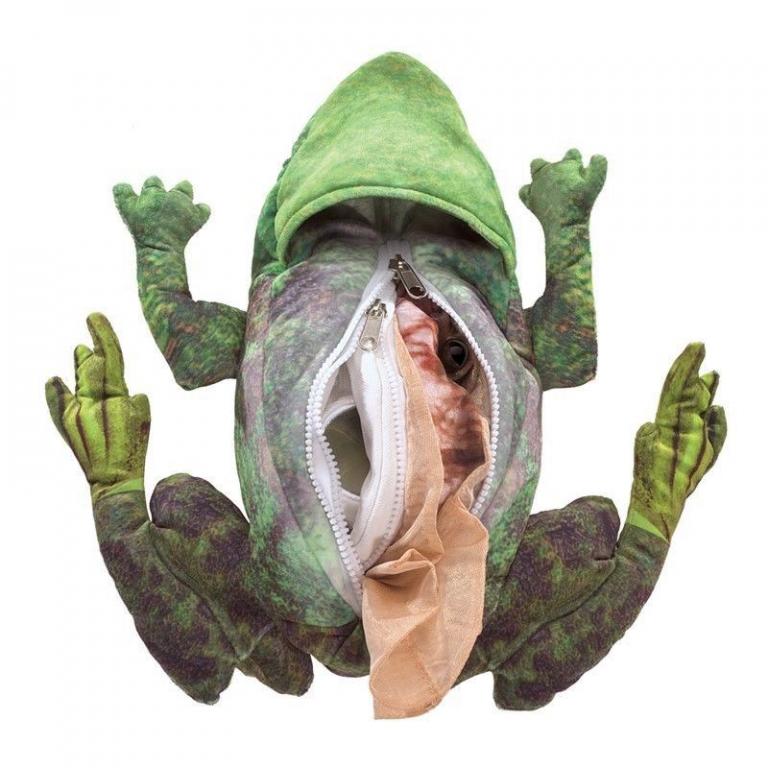 Handpuppe - original Folkmanis - Metarmorphose zum Frosch