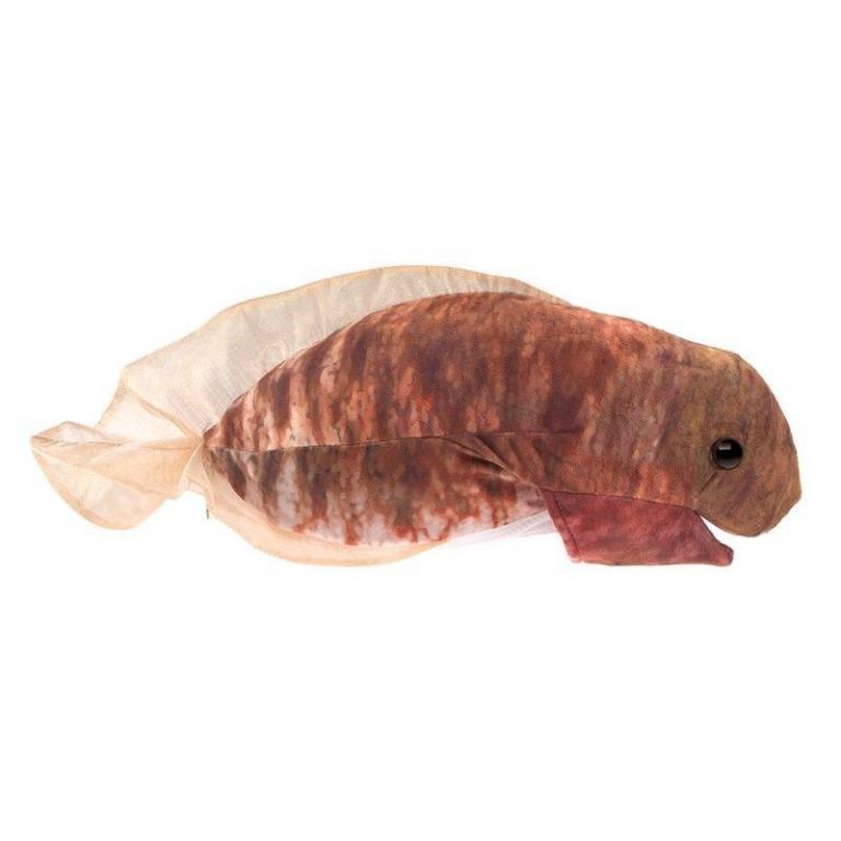 Tier-Handpuppe von Folkmanis - Metamorphose Kaulquappe