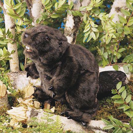 Tier-Handpuppe von Folkmanis - Biber im Wald