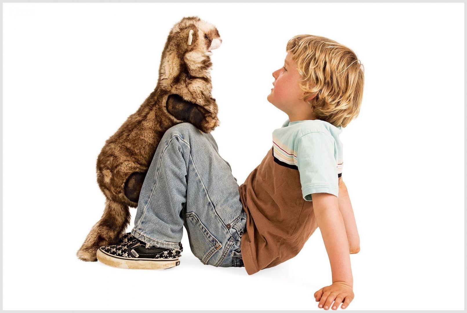 Handpuppen - original Folkmanis - Waldtiere
