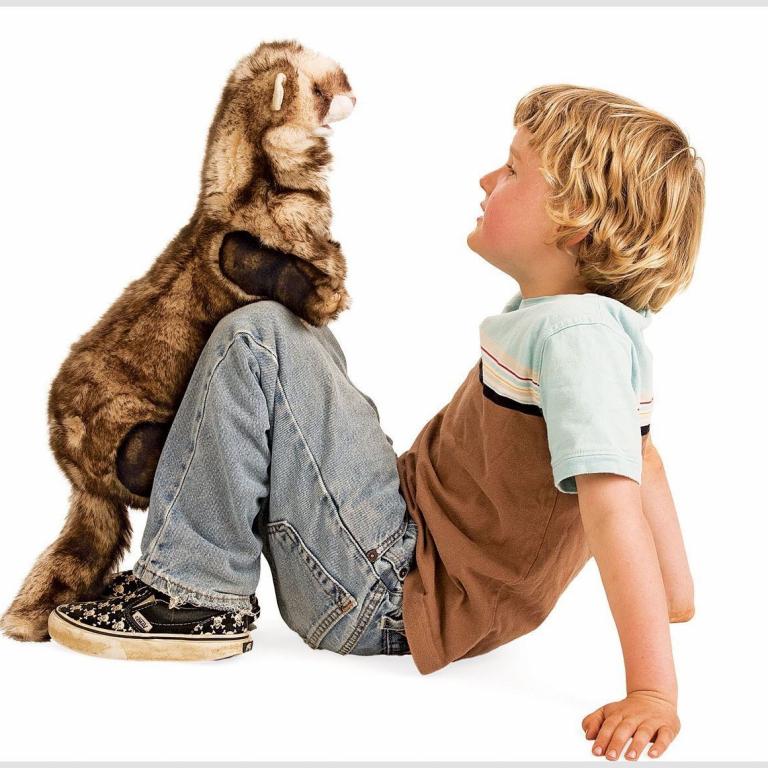 Handpuppen - original Folkmanis - Waldtiere