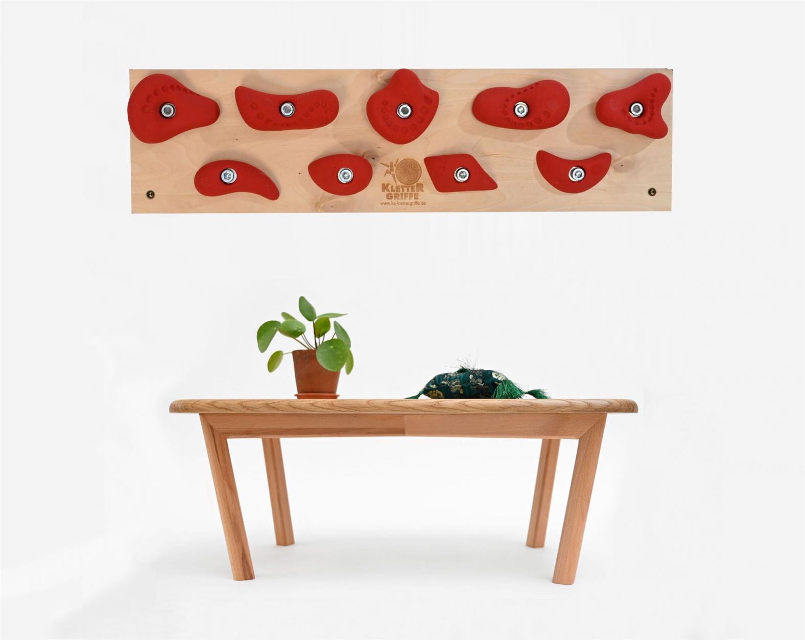 Trainingsboard Leicht - für zuhause - stabiles Kletterboard mit 9/10 Klettergriffen