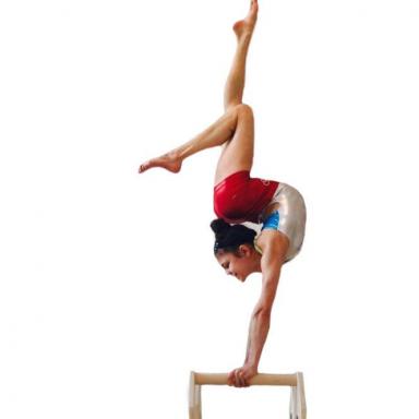 Parallettes Profi-Übung 1 - mit PROFI Handstandkötze