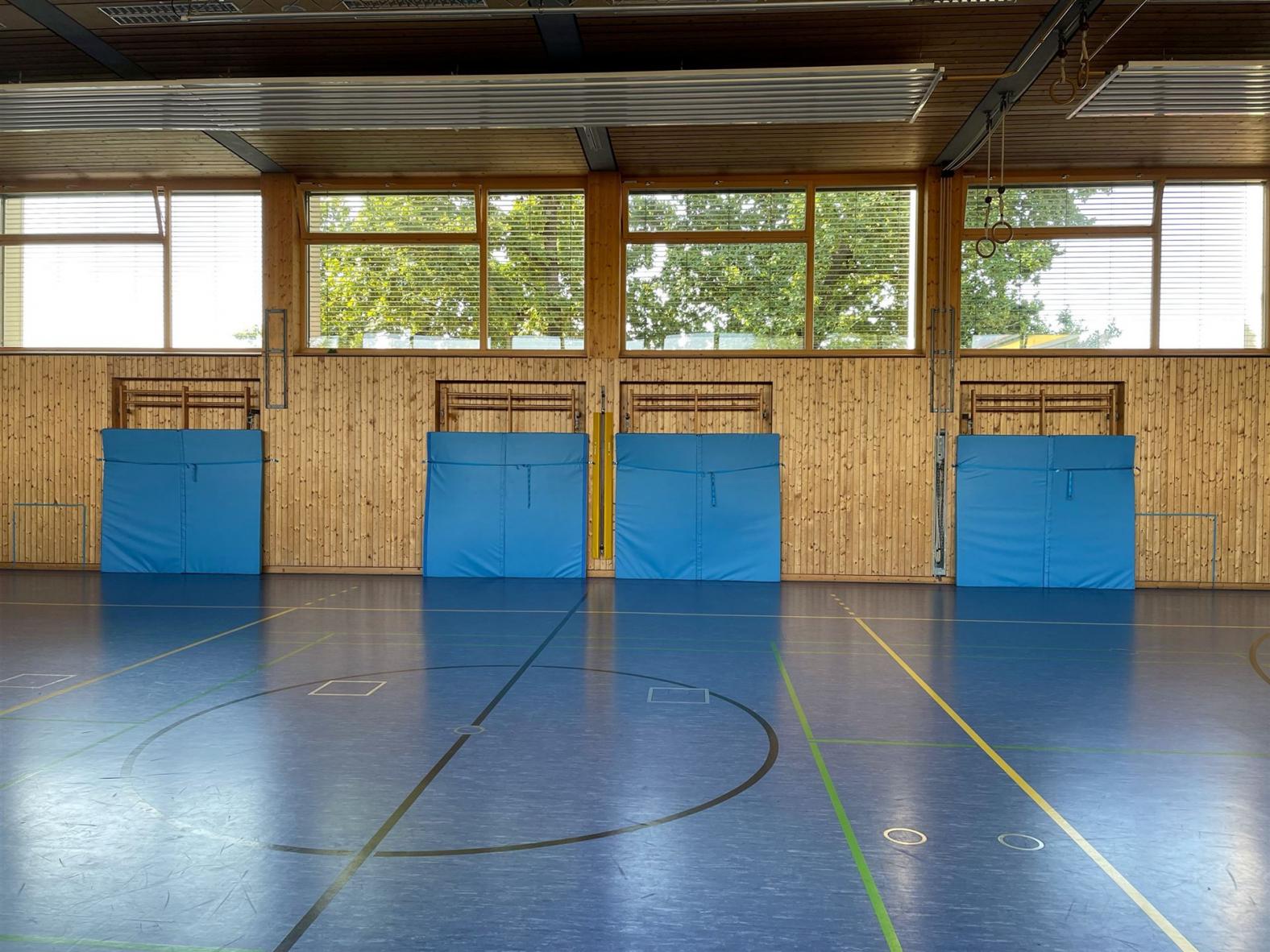 Ansicht Sprossenwände mit Prallschutz - Sonderanfertigung - individuelle Lösung auf Kundenwunsch