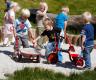 Mini Krippendreirad und Schubkarre - Serie MINI Winther Viking (1-4 Jahre)