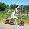 Roller Maxi Aktion - Winther Viking Institutionsfahrzeug in hoher Qualität