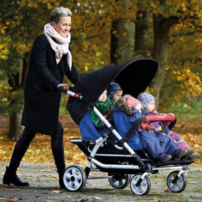 Buggy - Winther Viking